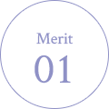 Merit 01