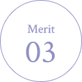 Merit 03