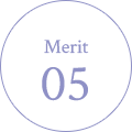 Merit 05